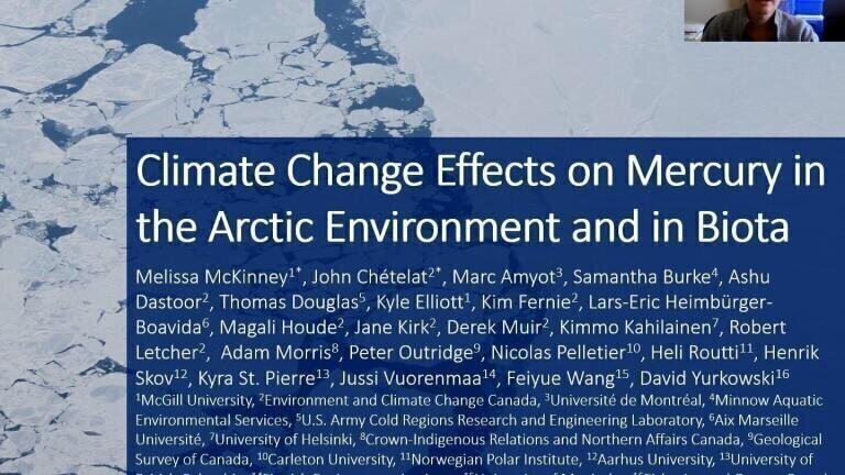 Climate Change Effects on Mercury in the Arctic Environment and in Biota